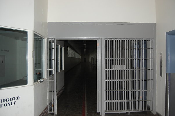 DSC 0100