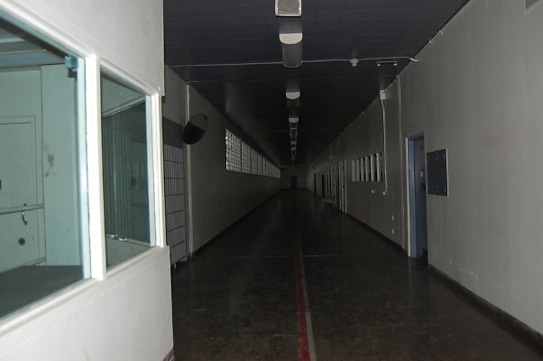 DSC 0101