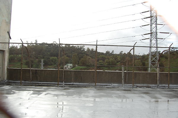 DSC 0146