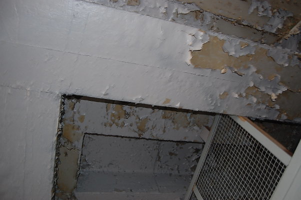 DSC 0070