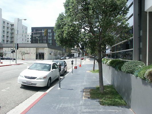 PICT0191