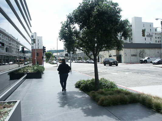 PICT0186