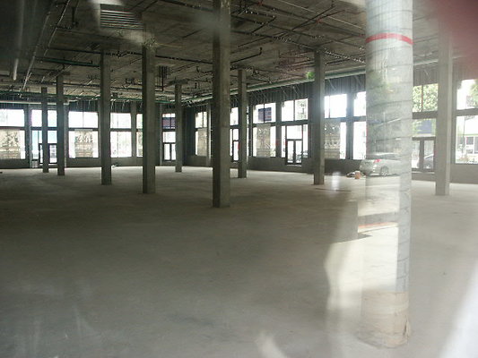 PICT0203