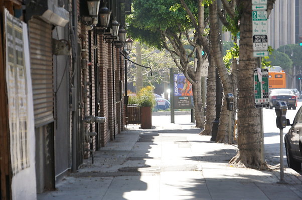 DSC09460