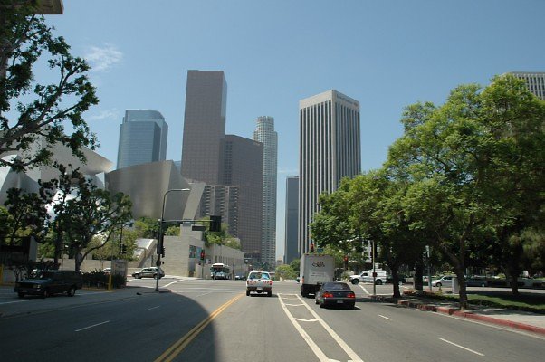DSC 0011