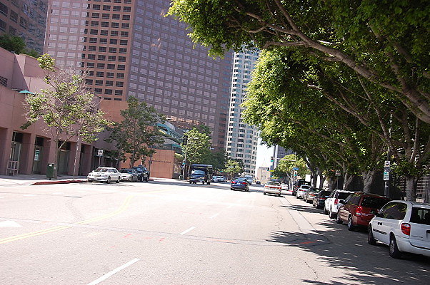 DSC 0150