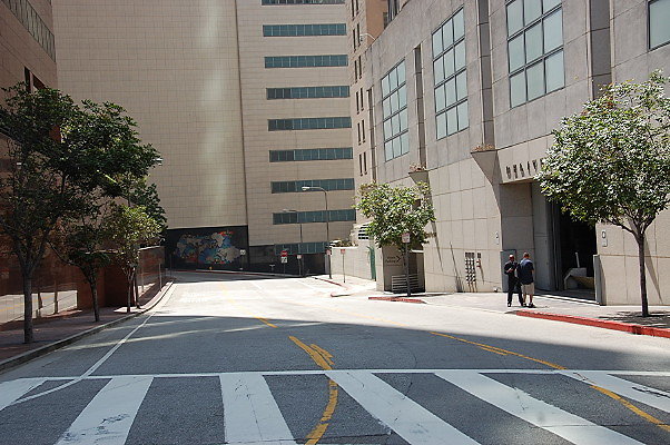 DSC 0164