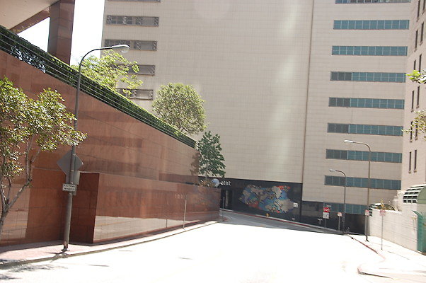 DSC 0165