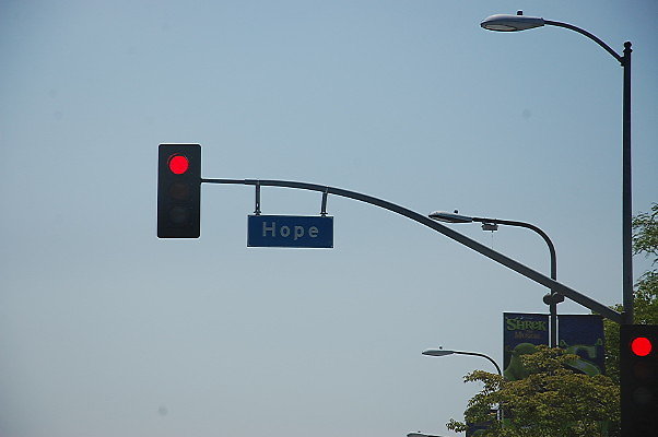 DSC 0239