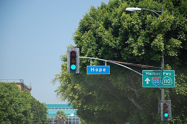 DSC 0169