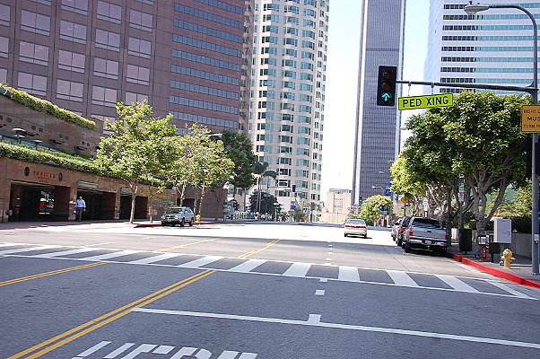 DSC 0154