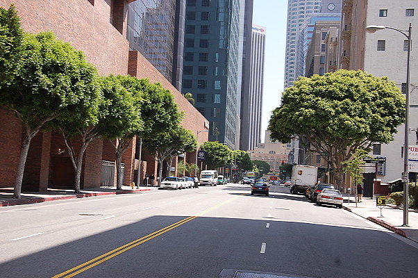DSC 0193