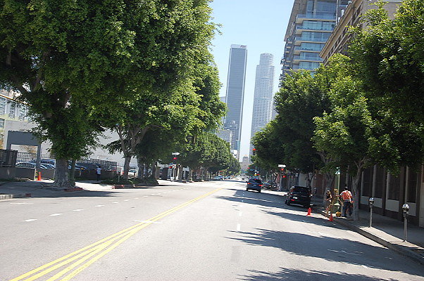 DSC 0171
