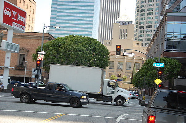 DSC 0202