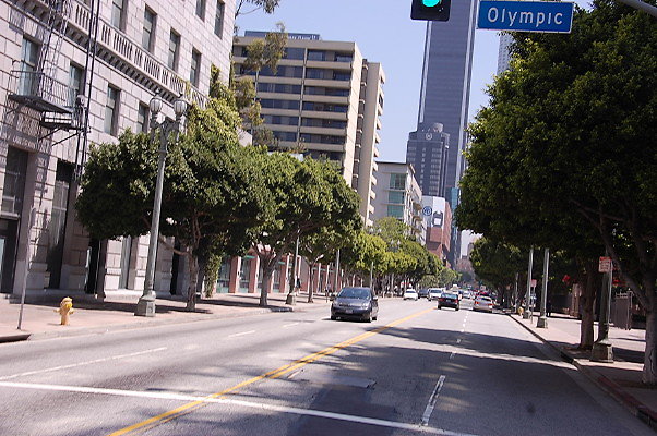 DSC 0182