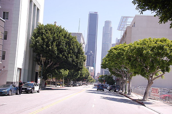 DSC 0178