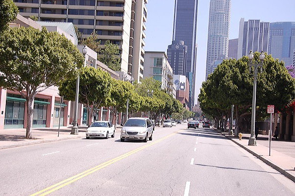 DSC 0183