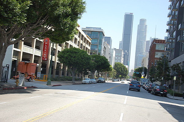 DSC 0175