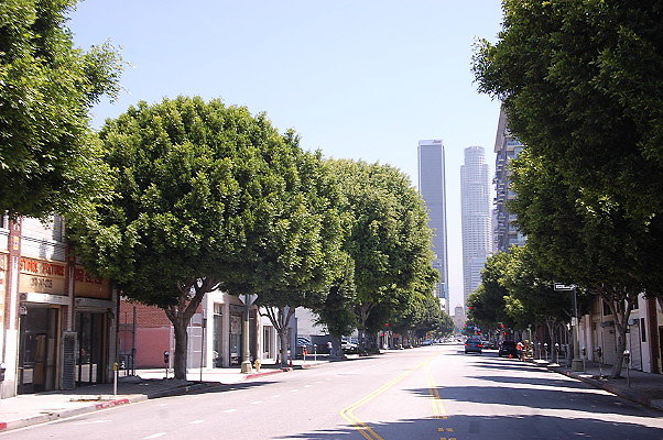 DSC 0170