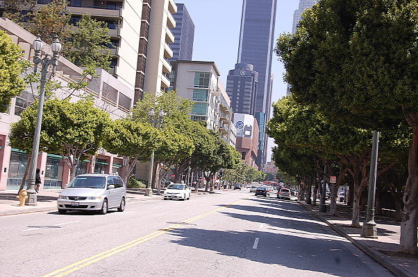 DSC 0184