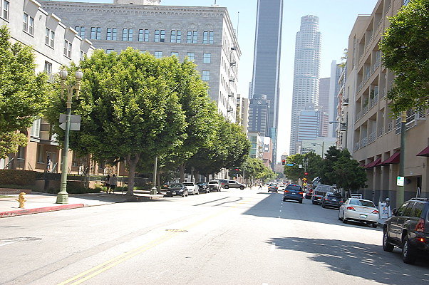 DSC 0179