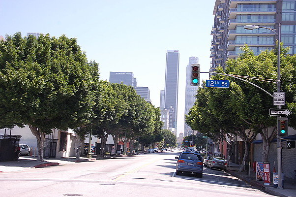 DSC 0173