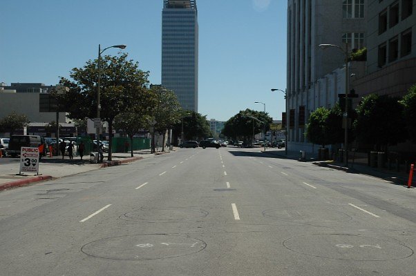 DSC 0115