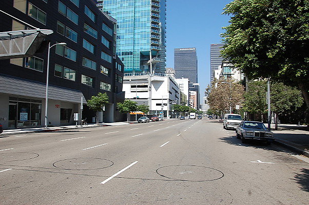 DSC 0135