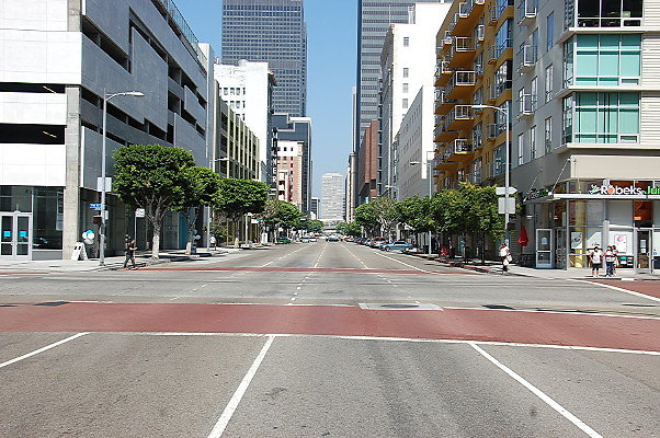 DSC 0095