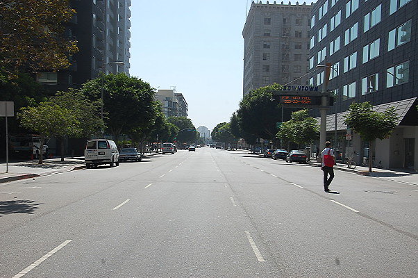DSC 0100