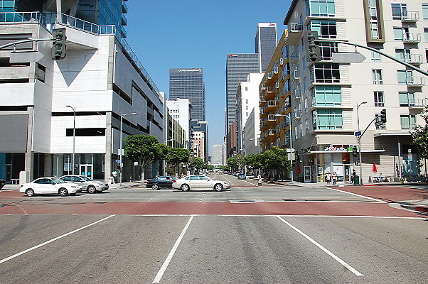 DSC 0098
