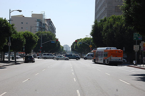 DSC 0130