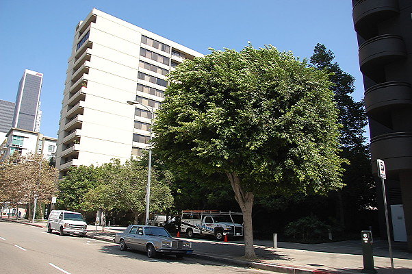 DSC 0128