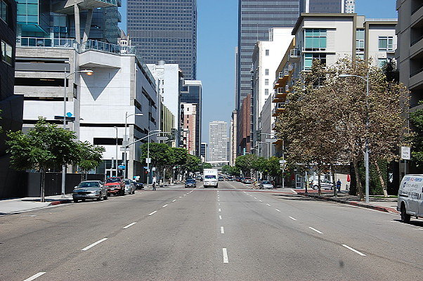 DSC 0124