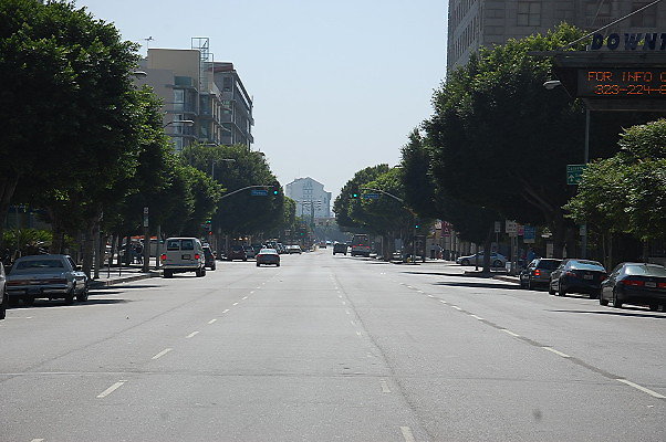 DSC 0101
