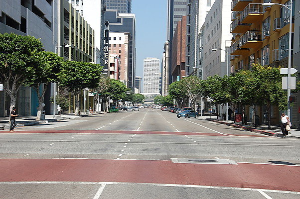 DSC 0096