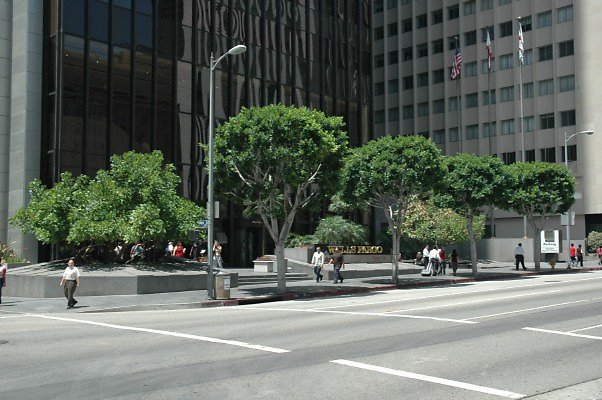 DSC 0073