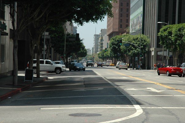DSC 0080
