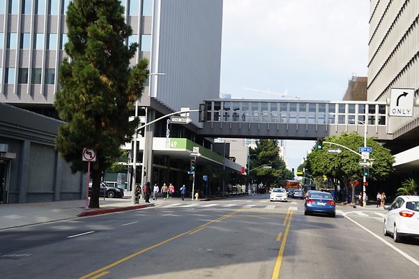 Hill St.North.17