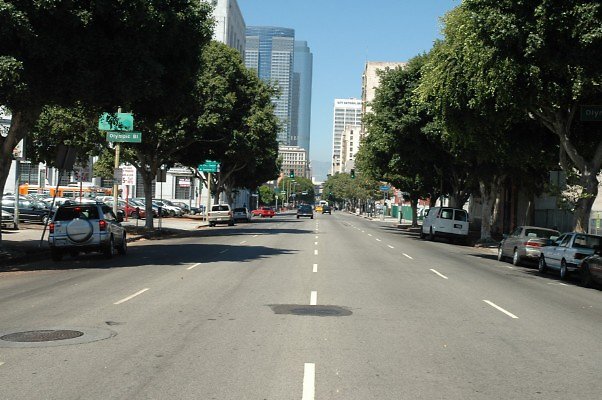 DSC 0094