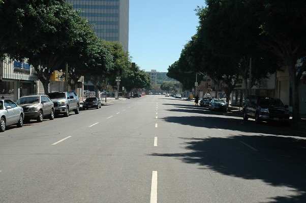 DSC 0100