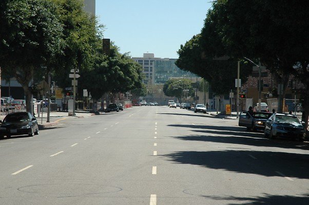 DSC 0097