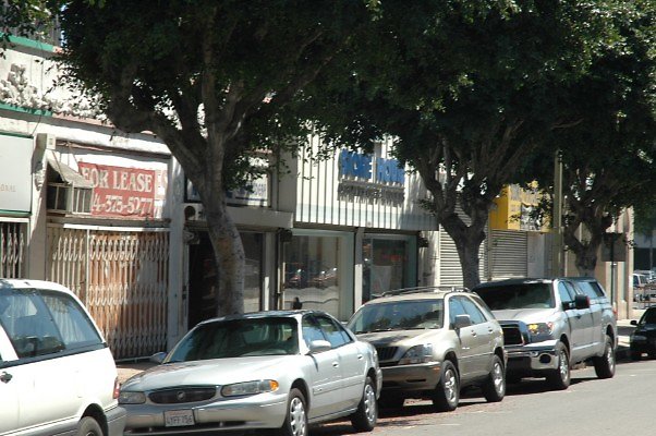 DSC 0096