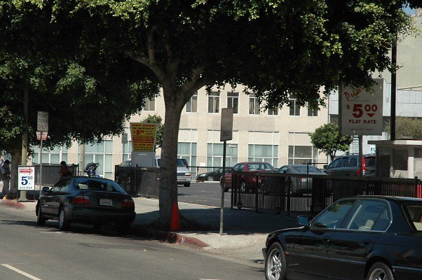 DSC 0076