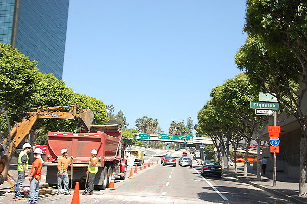 DSC 0132