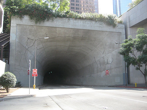 DSC 264