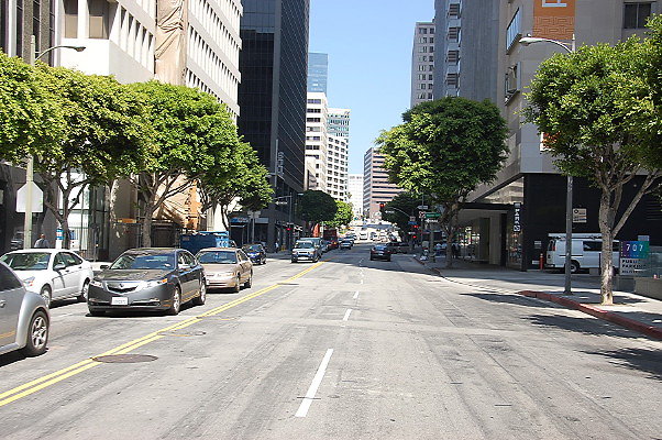 DSC 0031