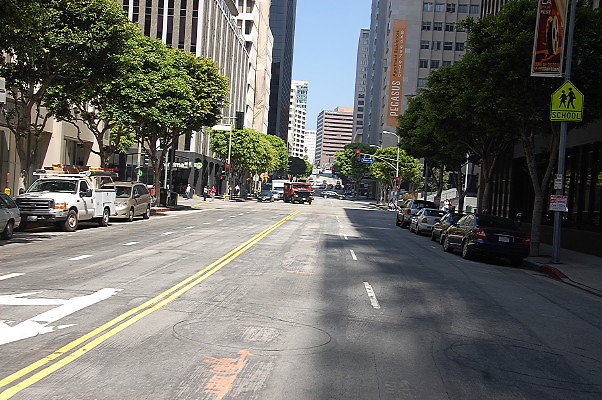 DSC 0028