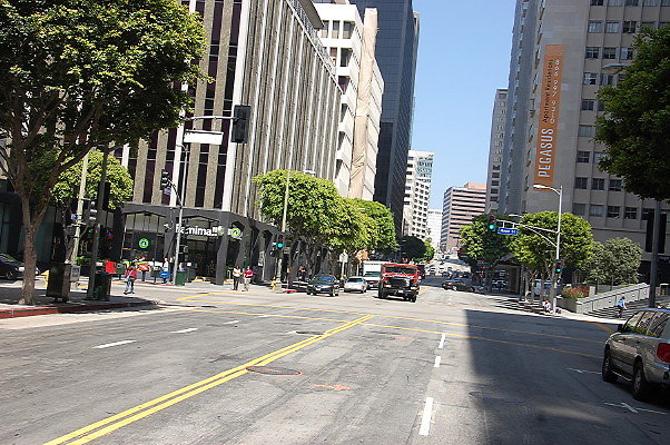 DSC 0029