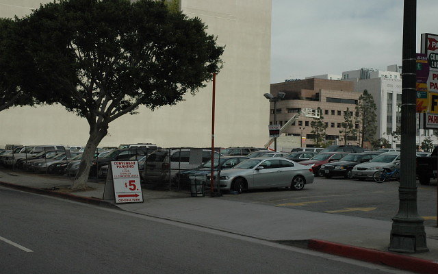 DSC 0083
